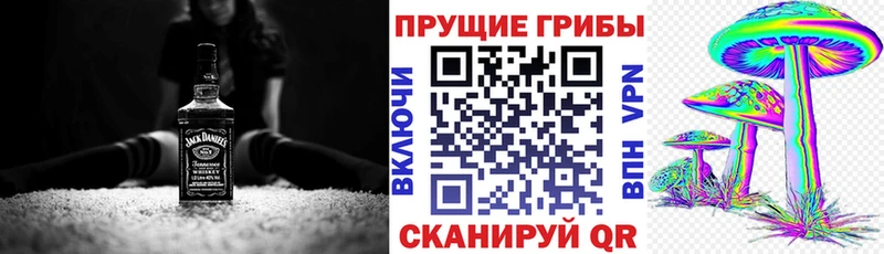 Купить  Партизанск  Псилоцибиновые грибы Cubensis 