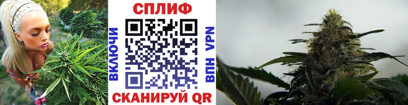 Купить закладки  Партизанск  Конопля гибрид 